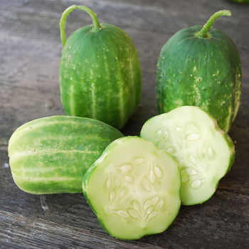 Cucumber, Richmond Green Apple