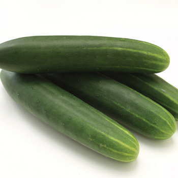 Cucumber, Tanja  Cucumber, Tanja