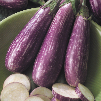 Eggplant, Fairy Tale Hybrid  Eggplant, Fairy Tale Hybrid