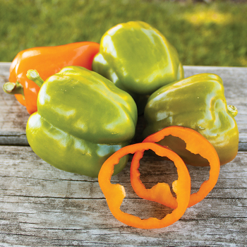 Pepper, Sweet, Orange Sweet Pepper, Sweet, Orange Sweet