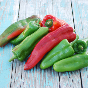 Pepper, Spanish Mammoth