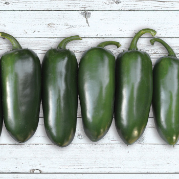 Emerald Fire Hybrid Pepper
