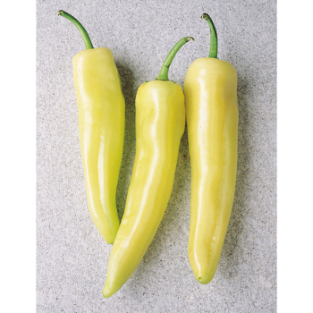 Inferno Hot Banana Hybrid Pepper