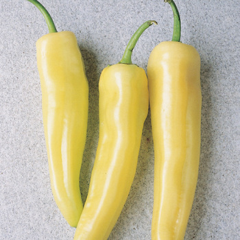 Pepper, Hot, Inferno Hot Banana Hybrid Pepper, Hot, Inferno Hot Banana Hybrid
