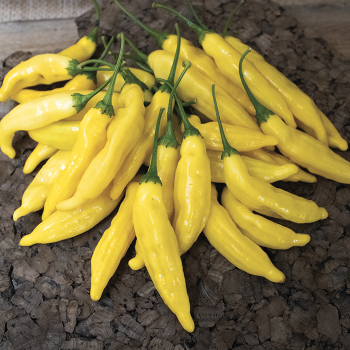 Pepper, Hot, Lemon Drop