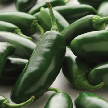 La Bomba ll Hybrid Pepper