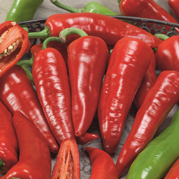 Giant Ristra Hybrid Pepper