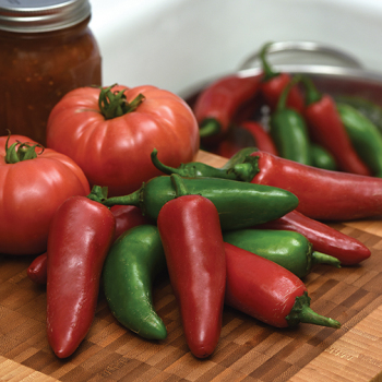 Pepper, Hot, Pot-A-Peno Hybrid