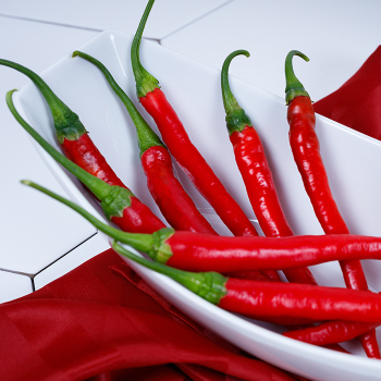 Pepper, Hot, Rajah Hybrid