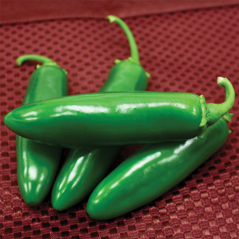 Spicy Slice Hybrid Pepper