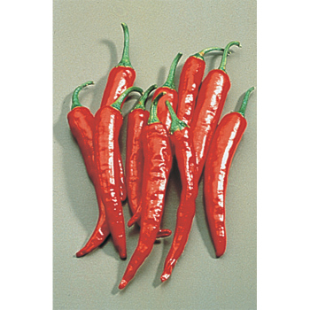 Thai Hot Pepper