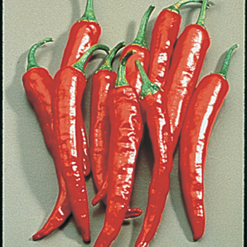 Pepper, Hot, Thai Hot 