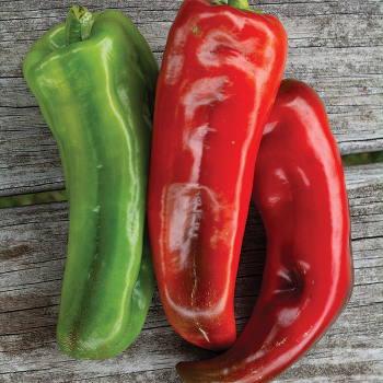 Pepper, Sweet, Giant Marconi Hybrid  Pepper, Sweet, Giant Marconi Hybrid