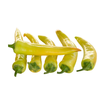 Pepper, Sweet, Godiva Hybrid