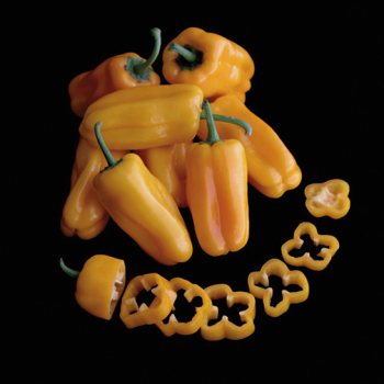 Pepper, Sweet, Just Sweet Hybrid  Pepper, Sweet, Just Sweet Hybrid