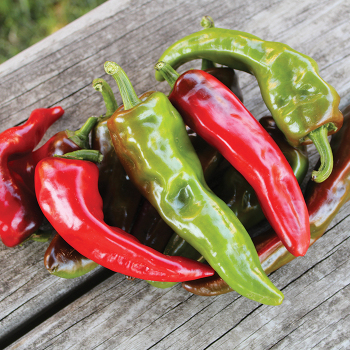 Pepper, Sweet, Melrose  Pepper, Sweet, Melrose