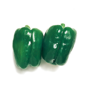 New Ace Hybrid Pepper