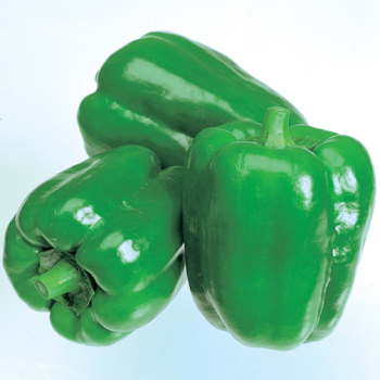 Pepper, Sweet, New Ace Hybrid Pepper, Sweet, New Ace Hybrid