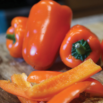Pepper, Sweet, Orange Blaze Hybrid Pepper, Sweet, Orange Blaze Hybrid