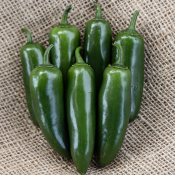 Pepper, Sweet, Nadapeno