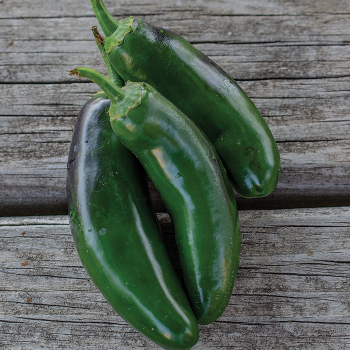 Pepper, Sweet, Nadapeno Pepper, Sweet, Nadapeno