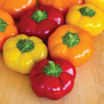 Hungarian Cheese Mix Hybrid Pepper