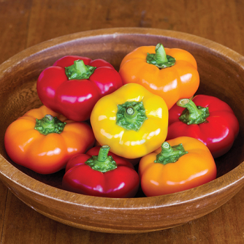 Pepper, Sweet, Hungarian Cheese Mix Hybrid Pepper, Sweet, Hungarian Cheese Mix Hybrid