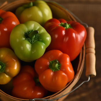 Sweet Bell Pepper Seeds: Totally Tomatoes