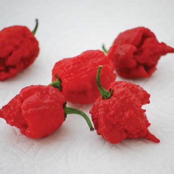 Carolina Reaper Pepper