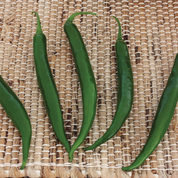Crackle Hybrid Pepper