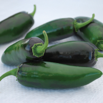 Craig's Grande Jalapeno Pepper