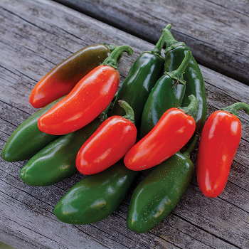 Pepper, Hot, Jalapeno Spice Orange Pepper, Hot, Jalapeno Spice Orange