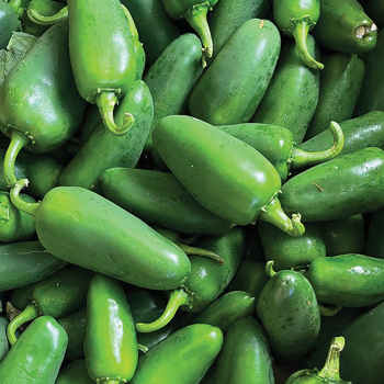 Pepper, Hot, Big Poppa Hybrid Pepper, Hot, Big Poppa Hybrid