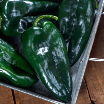 Pepper, Hot, Corsario Hybrid