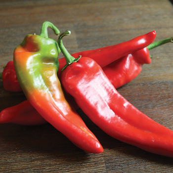Pepper, Hot, Spitfire Hybrid&nbsp;