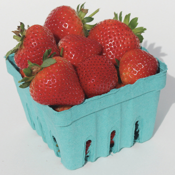 Strawberry, Day-Neutral, Evie-2, 25 plants