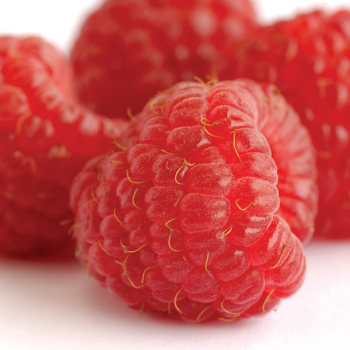 Raspberry, Fall Bearing, Heritage