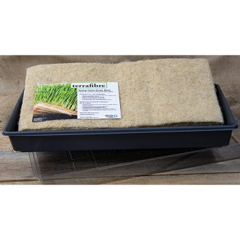 Microgreens Starter Kit