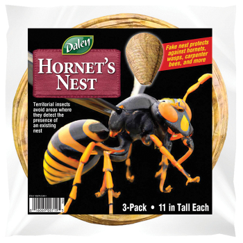 Hornet's Nest Hornet's Nest