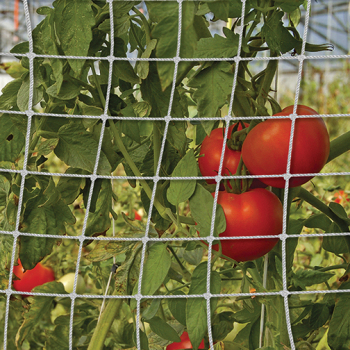 5' X 15' Tomato Trellis