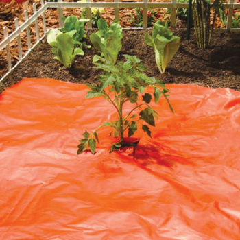 SRM Red Plastic Mulch 48 Inch X 30 Foot