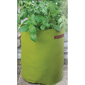 Haxnicks Vigoroot™ Potato/Tomato Planter, Green