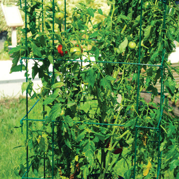 Jumbo Green Tomato Cages