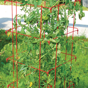 Jumbo Red Tomato Cages