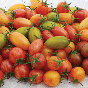 Open Pollinated Cherry Tomato Seeds