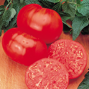 Open Pollinated Tomato Seeds