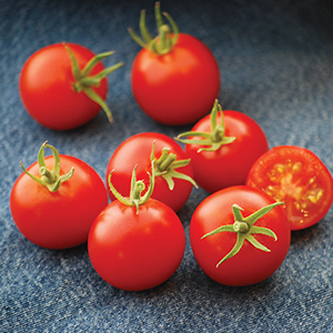 Medium-Small Open Pollinated Tomato Seeds