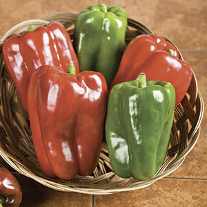 Reduced Price Peppers