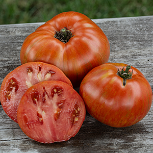 Tomato Seeds