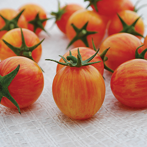 Artisan™ Series Tomato Seeds